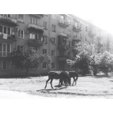 Апсны - 5.jpg Апсны - 5.jpg